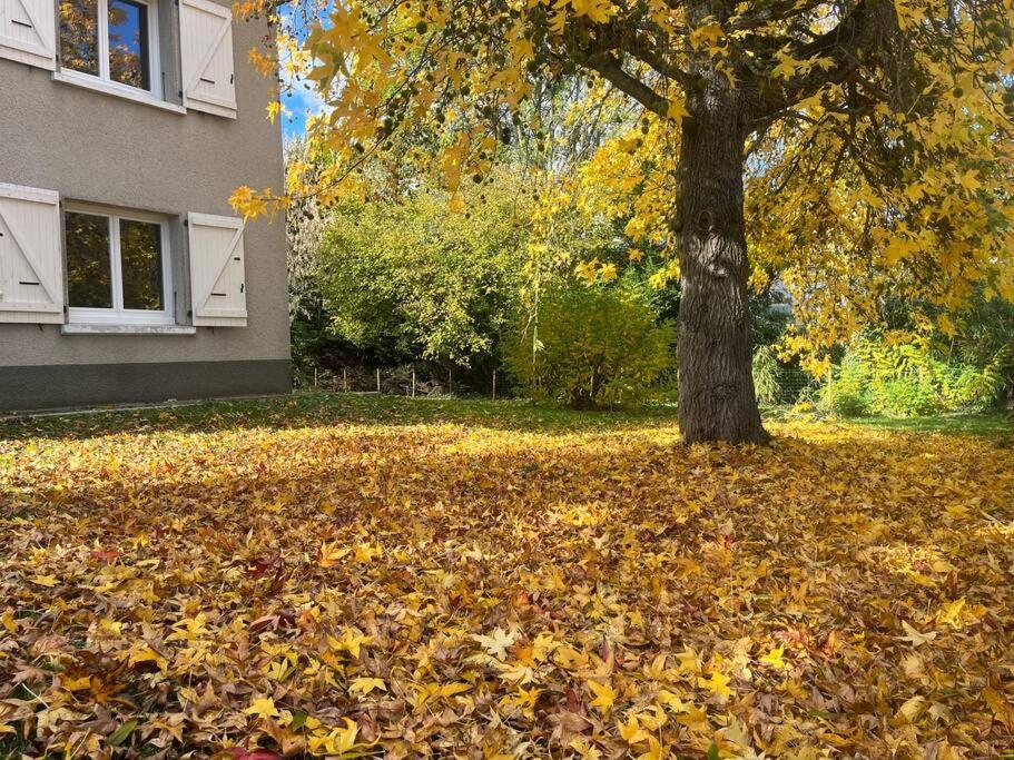 Vila La Familiale Saint Gaudens Exteriér fotografie